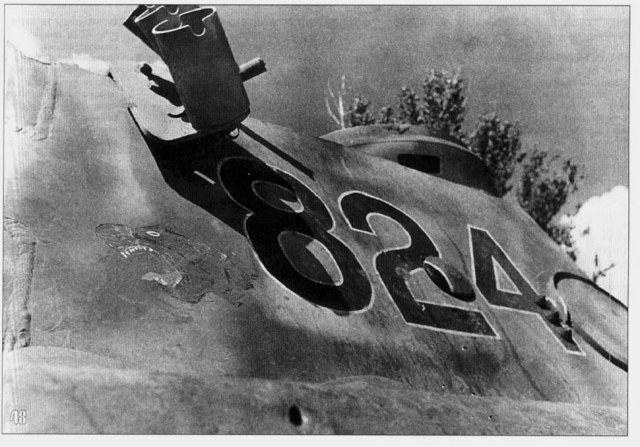 Битая Пантера 04.jpg